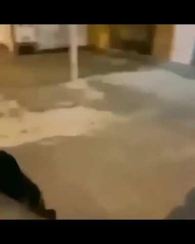 HUEstation - Video #7752