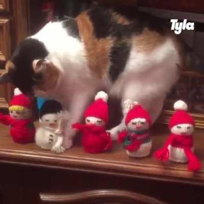 Навела порядок