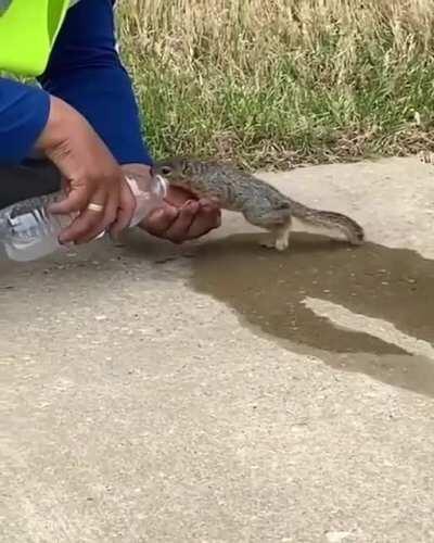 And The friendship has begun