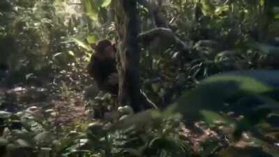 I have ran out of memes