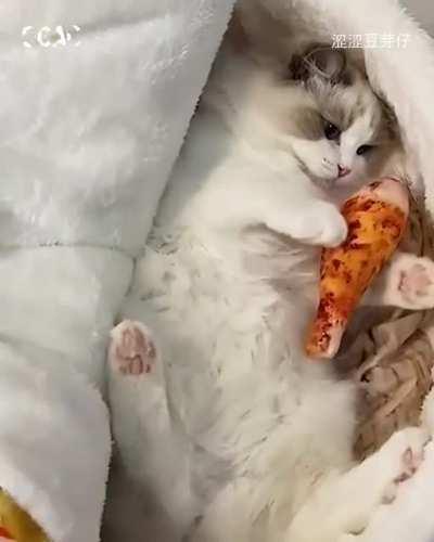 Кот быстрого приготовления