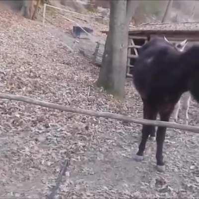 Work smarter not harder! :)