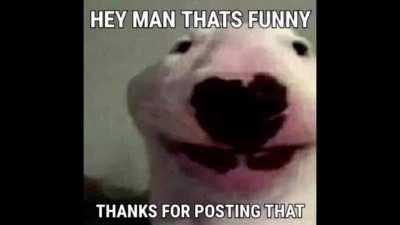 Thanks for posting that