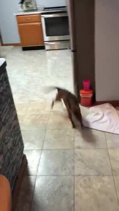 welcome to slamsville population me