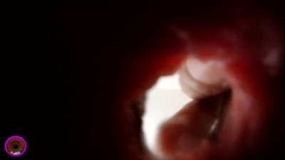 Would you really give up your life to spend all your time inside me?