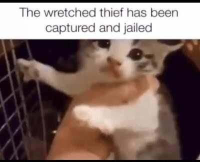 he needs to be LOCKED UP