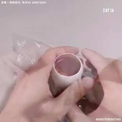 Thanks I hate open eggs.