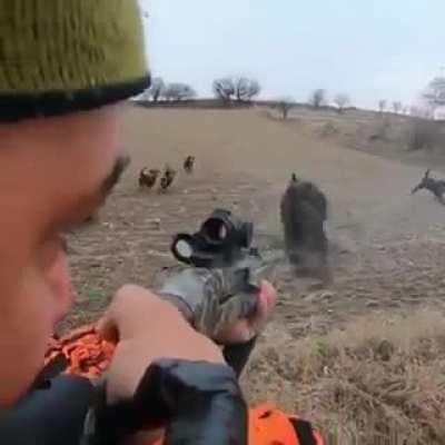 It was too close to attack