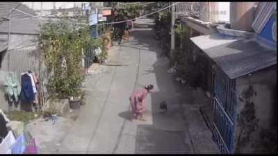 Harrassing an alley cat with water.