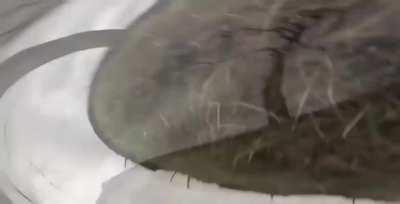 HMFT after I drive a motorcycle responsibly.