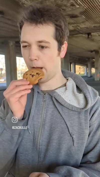 yuor gassy incredible poo is: biscuit gratuit