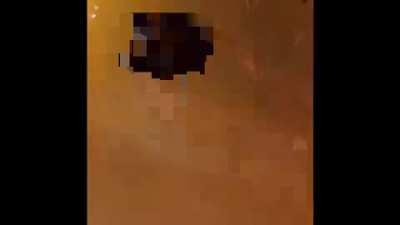 Reupload weil Original gelöscht wurde