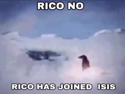 RICO NOOOOOO!