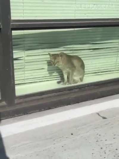 This is an interesting job