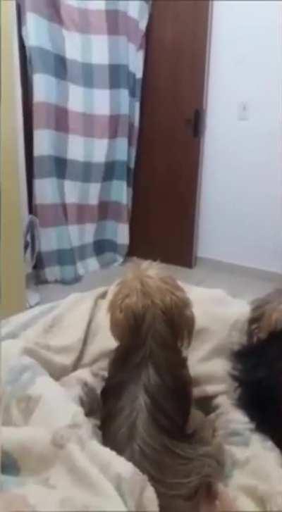 Por essa eu não esperava