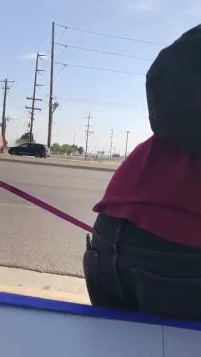 BLM protester targets Trump supporter's SERVICE DOG. Tries to unclip leash, fails, goes for the harness and fails again.