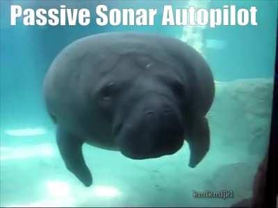 thank you autopilot very cool