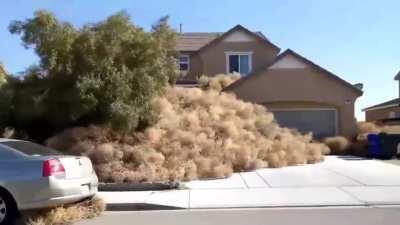 Must get home. We're very late.