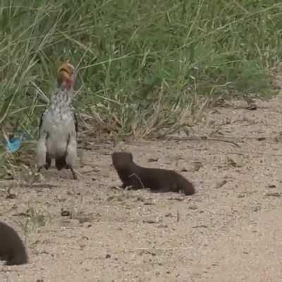 That's not all, folks!