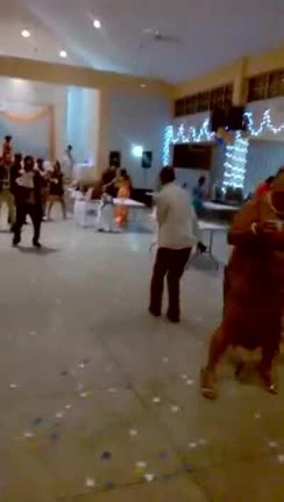 HMC while I show you the electric slide !