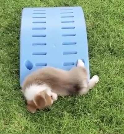 It’s just not his day