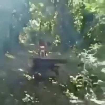 Yullalol - Video #6435