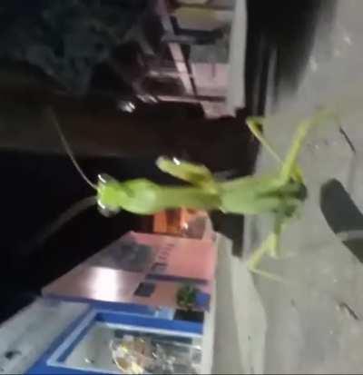 Kkkkkkkkkkkkkkkkkkkkkkkkkkkkkkkk