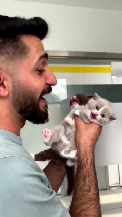 Double Trouble (TikTok: danteveteriner)