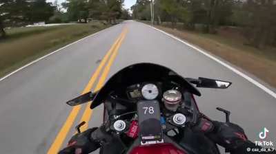 Motorcycle going way too fast runs into deer