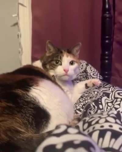 Раб дразнит (звук обязателен)