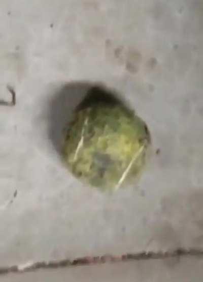 Subtly dropping hints 😄