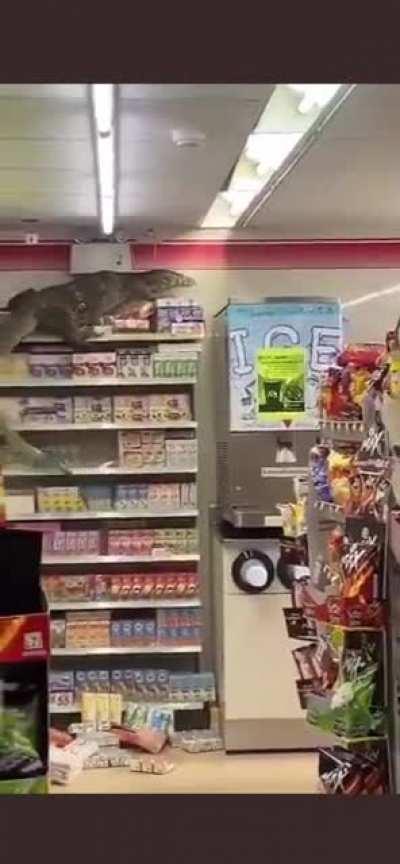 Can someone watch my cat real quick?