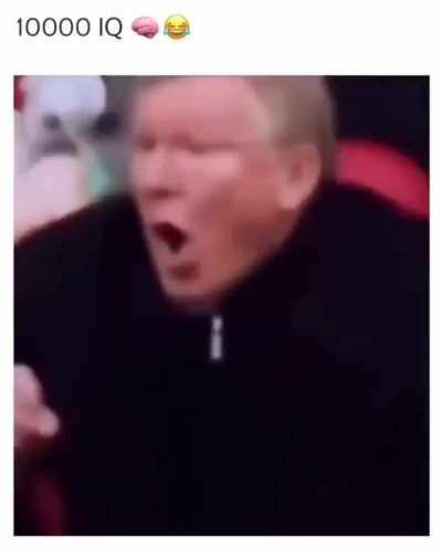 IQ 10000 на поле