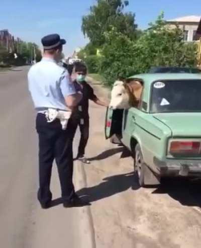 Russian Uber, You know why I pulled you over? Your passenger has no seatbelt Блять/Blyat'