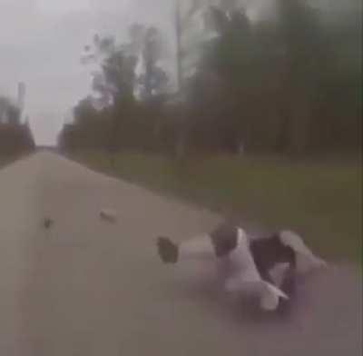 Paint the streets red