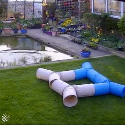 Lag Causes Catastrophic Error