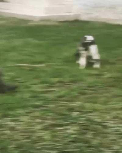 Shouldn't have done that