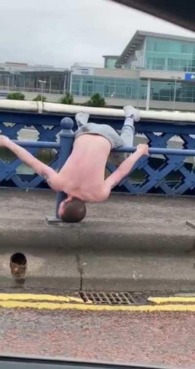 A wild spicehead spotted in Belfast