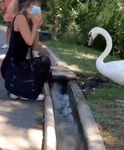 Mask wearing ordinance