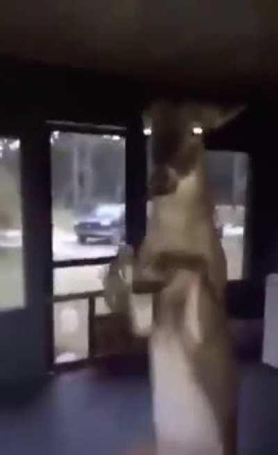 Inside the mind of: little mac