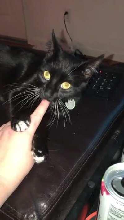 Not sure what he saw.