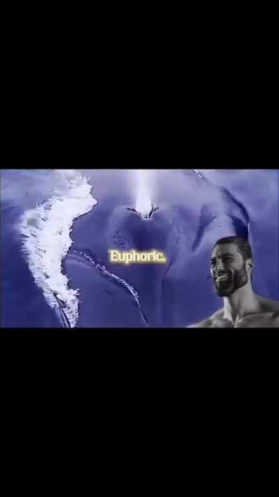 hope and peace is what we hope for