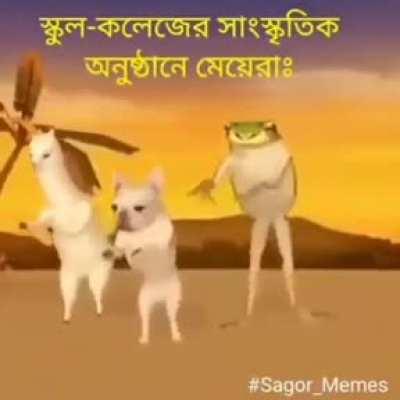 Sanskritik anusthans are where its at tho...