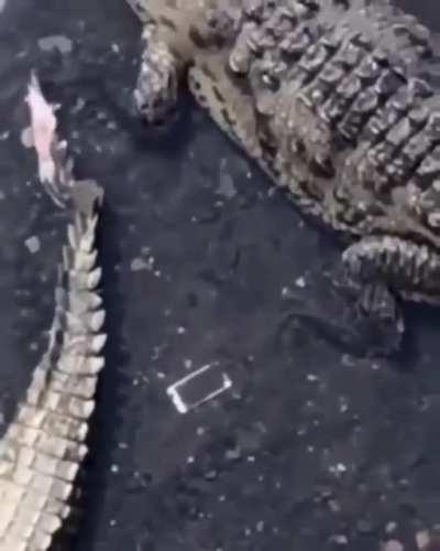 Chalk it up as a loss