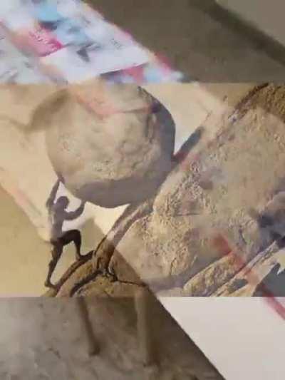 Ya fui a votar muchachos