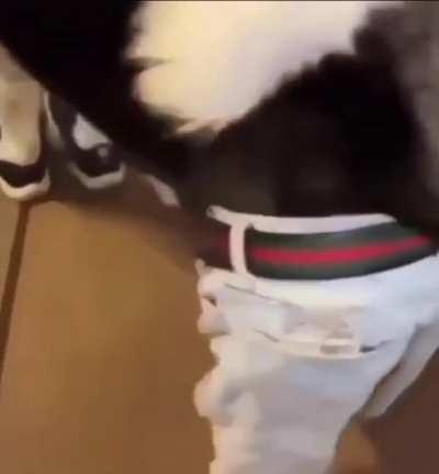 is gen z ai with the braids?