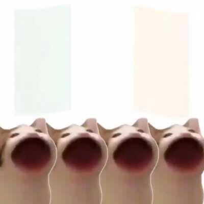 i don`t know who made it but dam is it funny