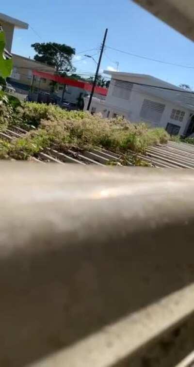 Okay last one I swear