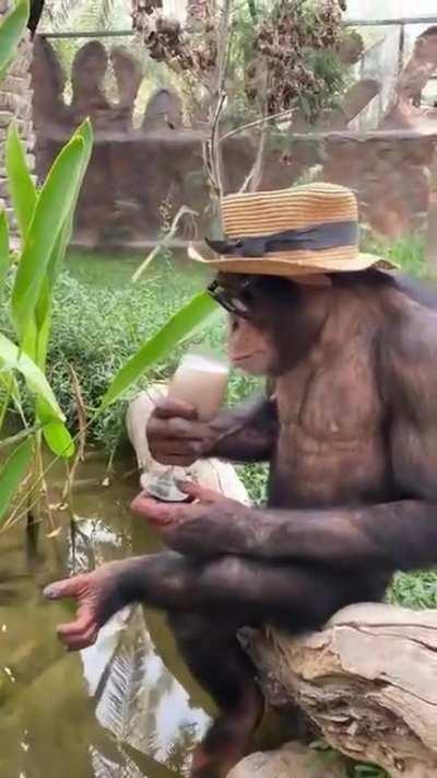 r/absolutelynotmeirl