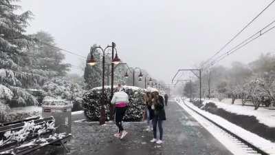 Yes, it snows in Australia! Blue Mountains today.